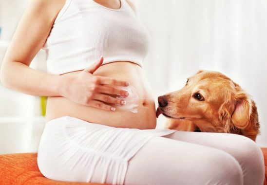 Hamilelerin Evcil Hayvan Beslemesi Zararlı mıdır?