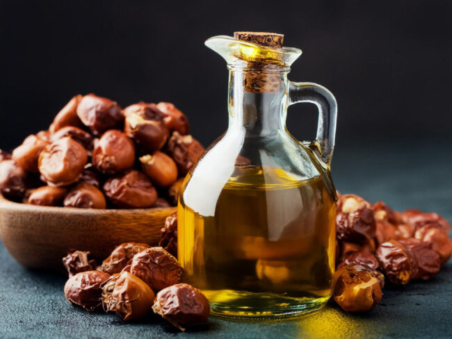 Bitkisel Jojoba Yağı Kullanımı ve Faydaları